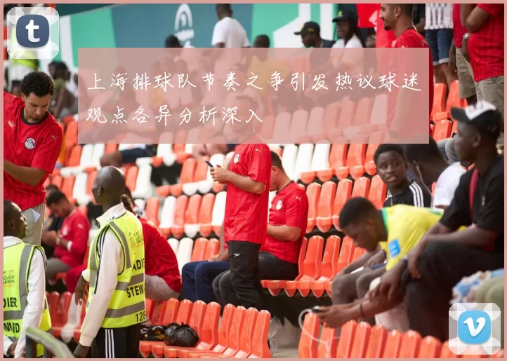 上海排球队节奏之争引发热议球迷观点各异分析深入