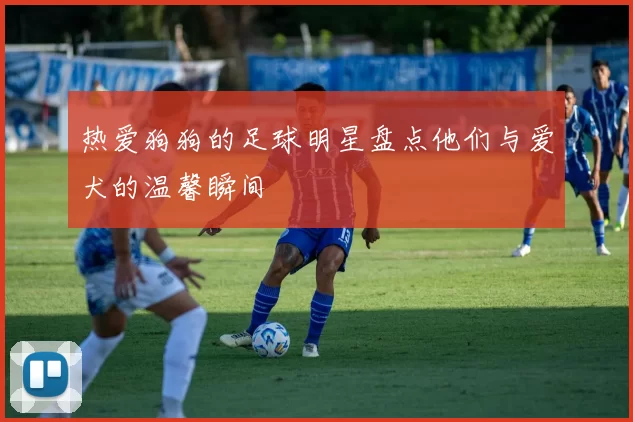 热爱狗狗的足球明星盘点他们与爱犬的温馨瞬间