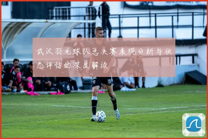 武汉羽毛球队总决赛表现分析与状态评估的深度解读
