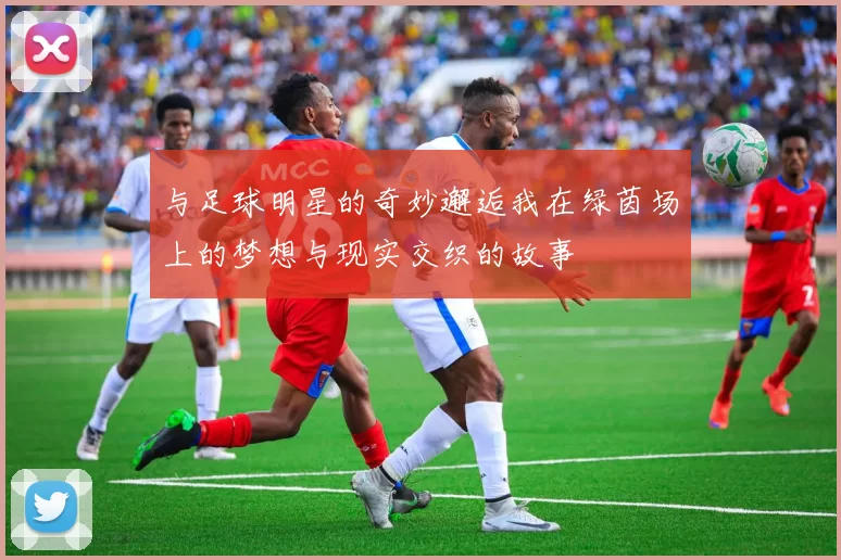 与足球明星的奇妙邂逅我在绿茵场上的梦想与现实交织的故事