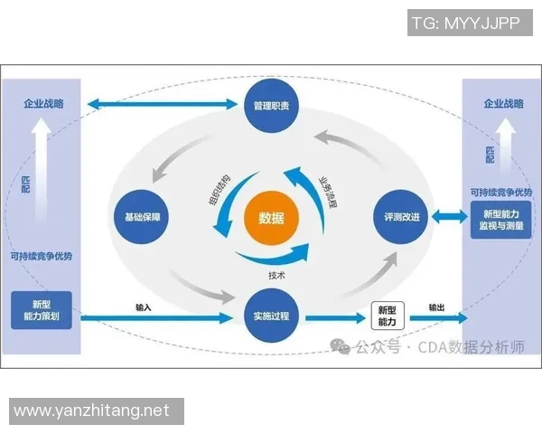 数据分析探讨V5灵活性表现及其对业务决策的影响分析