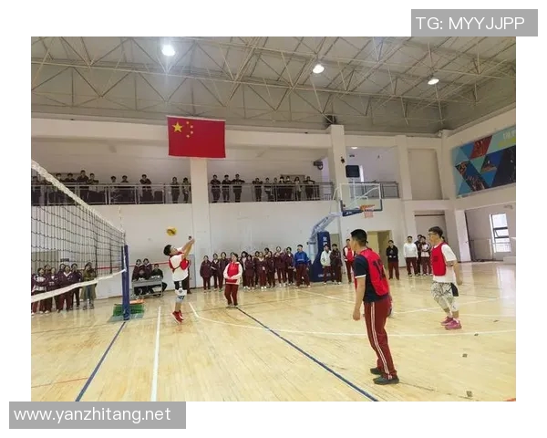 重庆排球队创新高排球战术排名引领全国新潮流