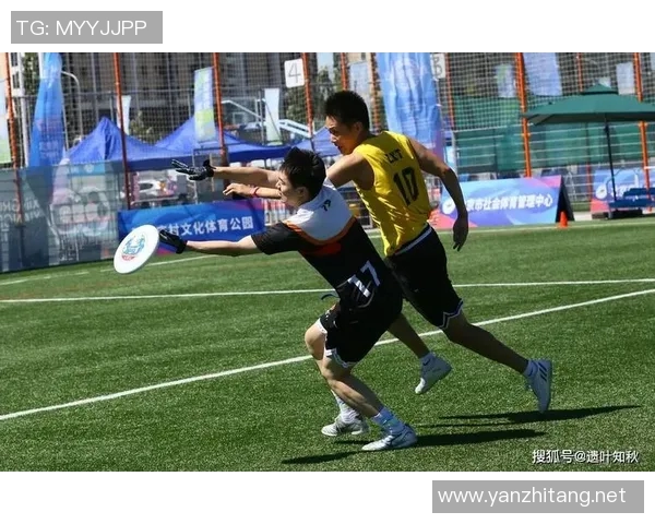 飞盘团队精神:深入解析北京飞盘队的协作与默契之道